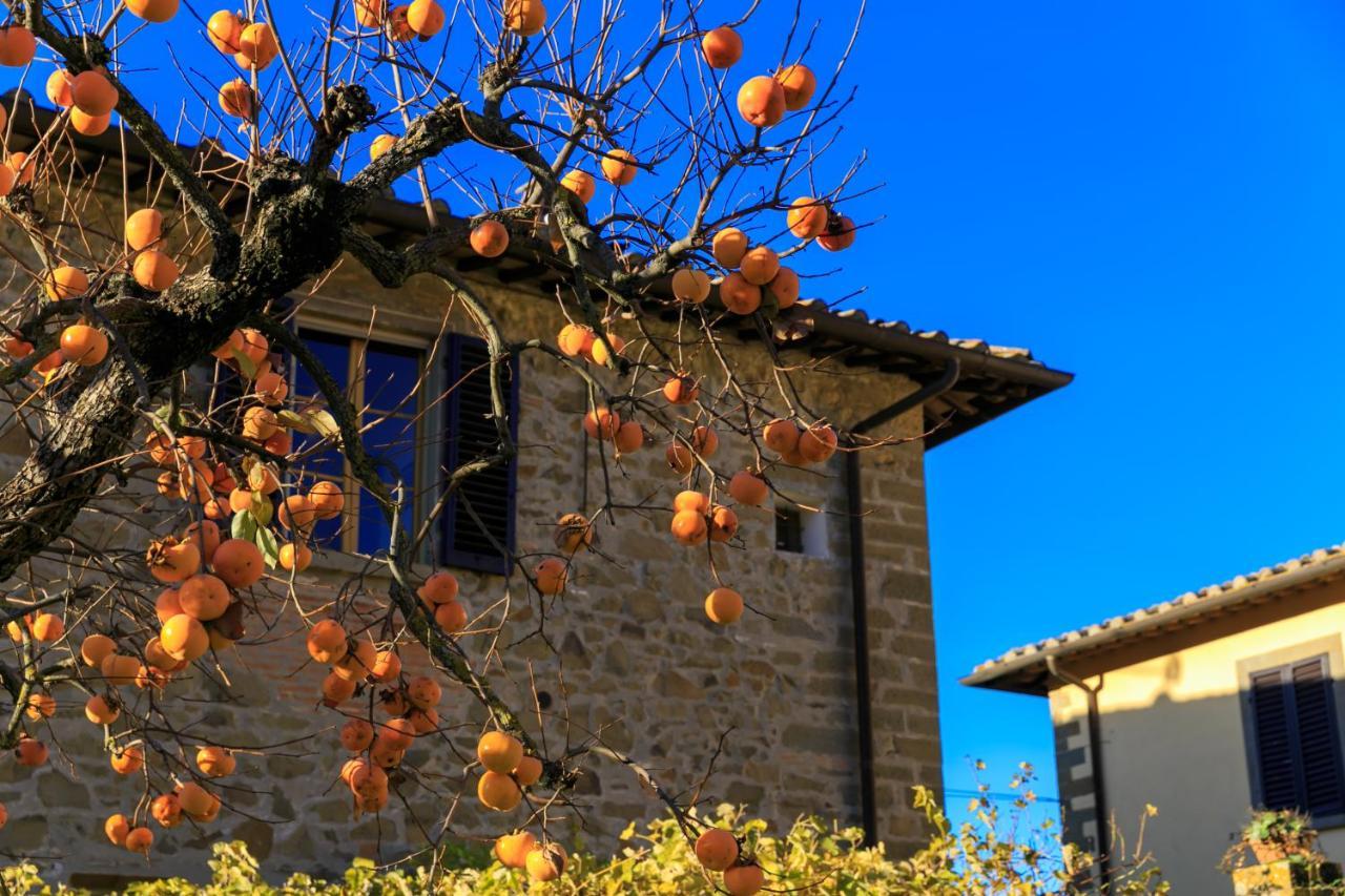 Agriturismo Fattoria Santo Stefano Greve in Chianti Exterior foto